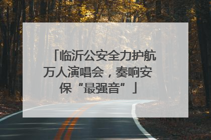 临沂公安全力护航万人演唱会，奏响安保“最强音”