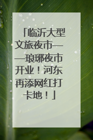 临沂大型文旅夜市——琅琊夜市开业！河东再添网红打卡地！