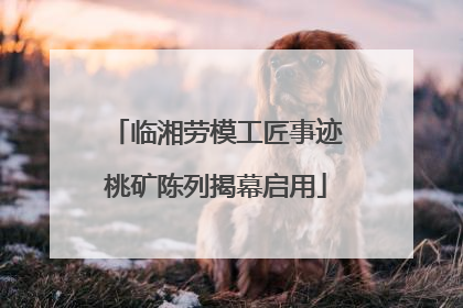 临湘劳模工匠事迹桃矿陈列揭幕启用
