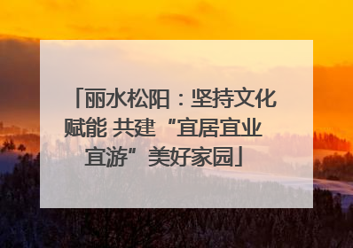 丽水松阳：坚持文化赋能 共建“宜居宜业宜游”美好家园