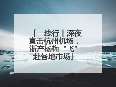 一线行丨深夜直击杭州机场，浙产杨梅“飞”赴各地市场