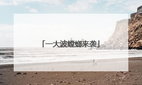 一大波螳螂来袭