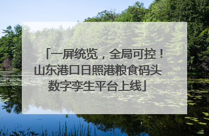 一屏统览，全局可控！山东港口日照港粮食码头数字孪生平台上线
