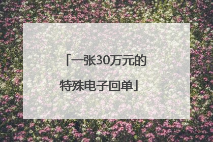 一张30万元的特殊电子回单