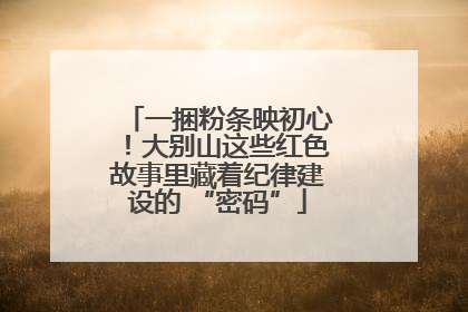 一捆粉条映初心！大别山这些红色故事里藏着纪律建设的 “密码”
