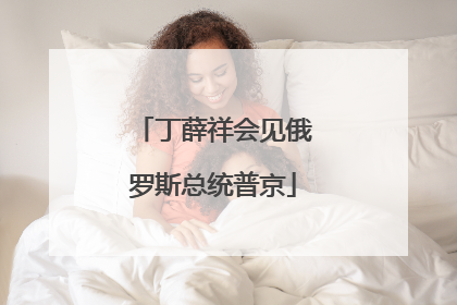 丁薛祥会见俄罗斯总统普京