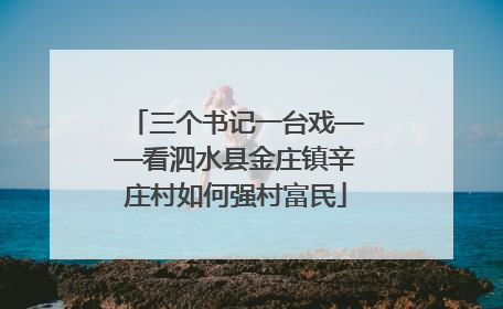 三个书记一台戏——看泗水县金庄镇辛庄村如何强村富民