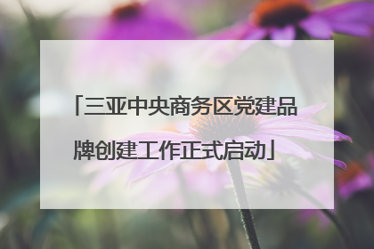 三亚中央商务区党建品牌创建工作正式启动
