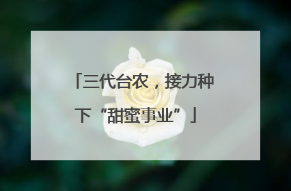 三代台农，接力种下“甜蜜事业”