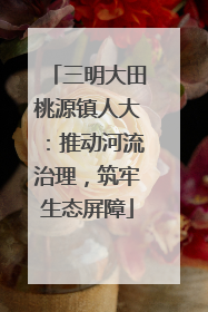 三明大田桃源镇人大：推动河流治理，筑牢生态屏障