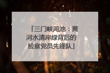 三门峡渑池：黄河水清岸绿背后的检察党员先锋队