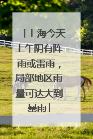 上海今天上午阴有阵雨或雷雨，局部地区雨量可达大到暴雨