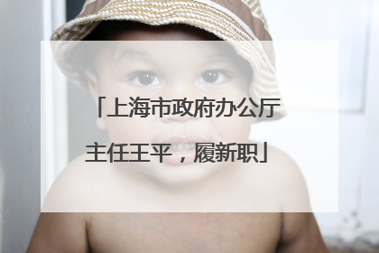 上海市政府办公厅主任王平，履新职