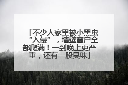 不少人家里被小黑虫“入侵”，墙壁窗户全部爬满！一到晚上更严重，还有一股臭味