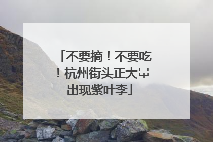 不要摘！不要吃！杭州街头正大量出现紫叶李