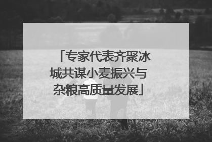专家代表齐聚冰城共谋小麦振兴与杂粮高质量发展