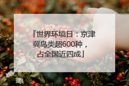 世界环境日：京津冀鸟类超600种，占全国近四成