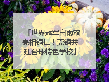 世界冠军白雨露亮相铜仁！莞铜共建台球特色学校