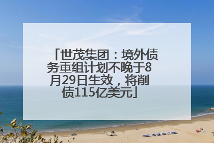 世茂集团：境外债务重组计划不晚于8月29日生效，将削债115亿美元