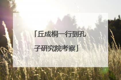 丘成桐一行到孔子研究院考察