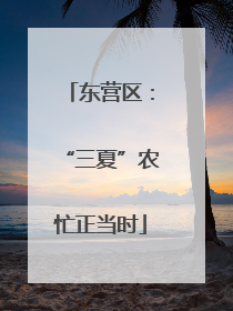 东营区：“三夏”农忙正当时