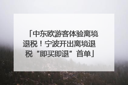 中东欧游客体验离境退税！宁波开出离境退税“即买即退”首单