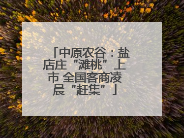 中原农谷：盐店庄“滩桃”上市 全国客商凌晨“赶集”