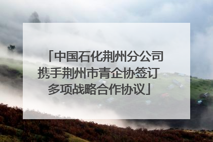 中国石化荆州分公司携手荆州市青企协签订多项战略合作协议