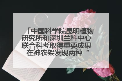中国科学院昆明植物研究所和深圳兰科中心联合科考取得重要成果 在神农架发现两种“国保”级兰花