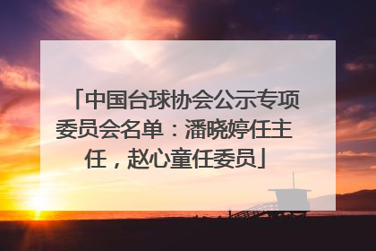 中国台球协会公示专项委员会名单：潘晓婷任主任，赵心童任委员