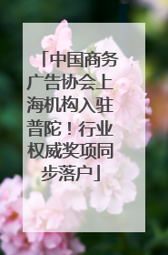 中国商务广告协会上海机构入驻普陀！行业权威奖项同步落户