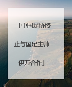 中国足协终止与国足主帅伊万合作