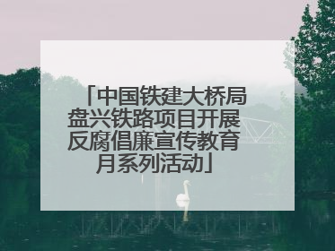 中国铁建大桥局盘兴铁路项目开展反腐倡廉宣传教育月系列活动