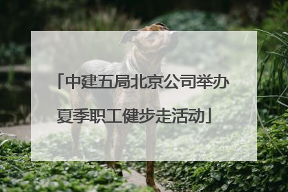 中建五局北京公司举办夏季职工健步走活动