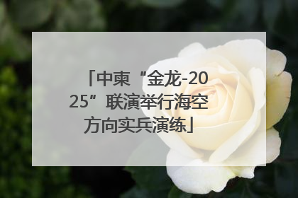 中柬“金龙-2025”联演举行海空方向实兵演练