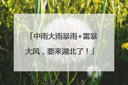 中雨大雨暴雨+雷暴大风，要来湖北了！