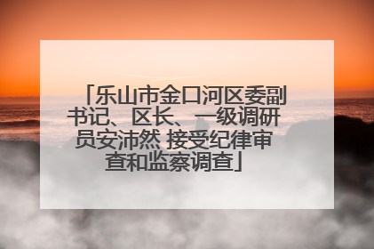 乐山市金口河区委副书记、区长、一级调研员安沛然 接受纪律审查和监察调查