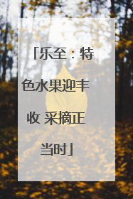 乐至：特色水果迎丰收 采摘正当时