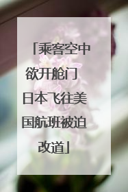 乘客空中欲开舱门 日本飞往美国航班被迫改道