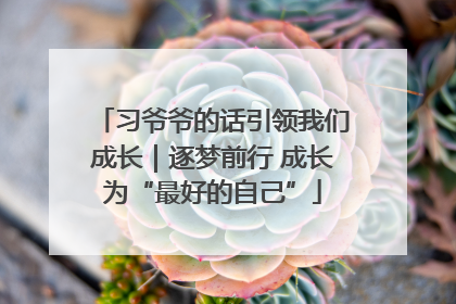习爷爷的话引领我们成长｜逐梦前行 成长为“最好的自己”