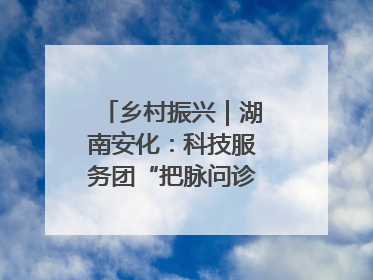 乡村振兴｜湖南安化：科技服务团“把脉问诊”水果产业