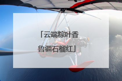 云端粽叶香 鲁疆石榴红