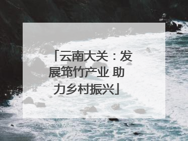 云南大关：发展筇竹产业 助力乡村振兴
