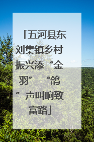 五河县东刘集镇乡村振兴添“金羽” “鸽”声叫响致富路