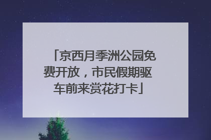 京西月季洲公园免费开放，市民假期驱车前来赏花打卡