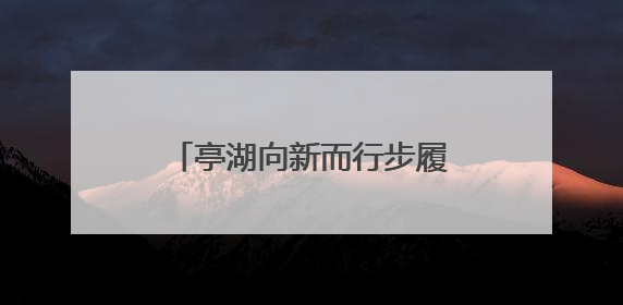 亭湖向新而行步履不“亭”：科创与产业互融互促，催生新质生产力澎湃动能