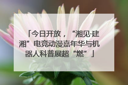 今日开放，“湘见·建湘”电竞动漫嘉年华与机器人科普展超“燃”