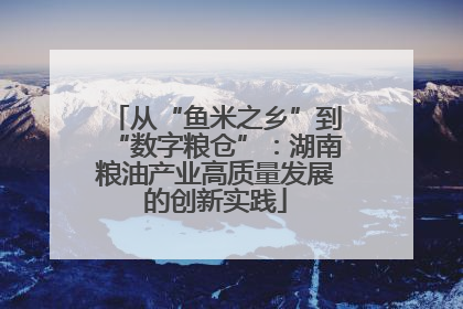 从“鱼米之乡”到“数字粮仓”：湖南粮油产业高质量发展的创新实践