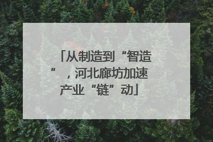 从制造到“智造”，河北廊坊加速产业“链”动