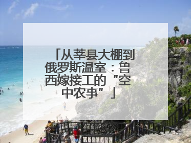 从莘县大棚到俄罗斯温室：鲁西嫁接工的“空中农事”